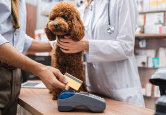 News: Nibbles Credit Card: Pet Insurance and Rewards - Credit-Land.com