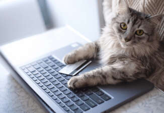 Research: Pet Credit Cards - Credit-Land.com