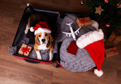 Research: Best Places to Travel in December 2025 - Credit-Land.com