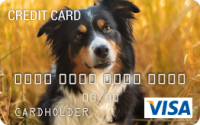 Create Your Own Card is not available - Credit-Land.com